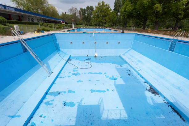Best Water damage restoration experts  in Alta, IA