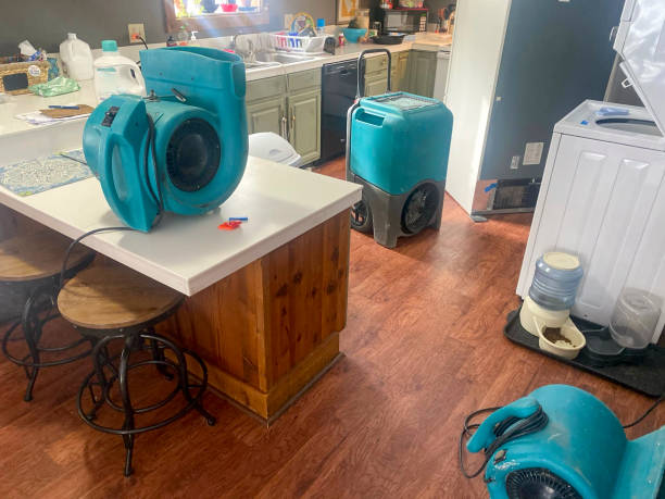 Best Residential water damage restoration  in Alta, IA