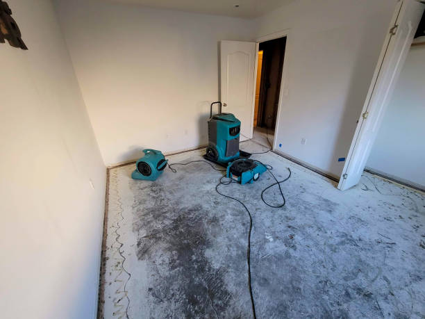 Best 24-hour water damage restoration  in Alta, IA