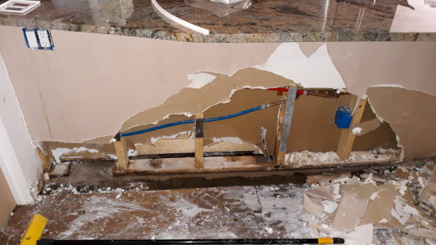 Best Flooded house restoration  in Alta, IA