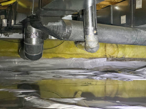Best Water damage restoration process  in Alta, IA